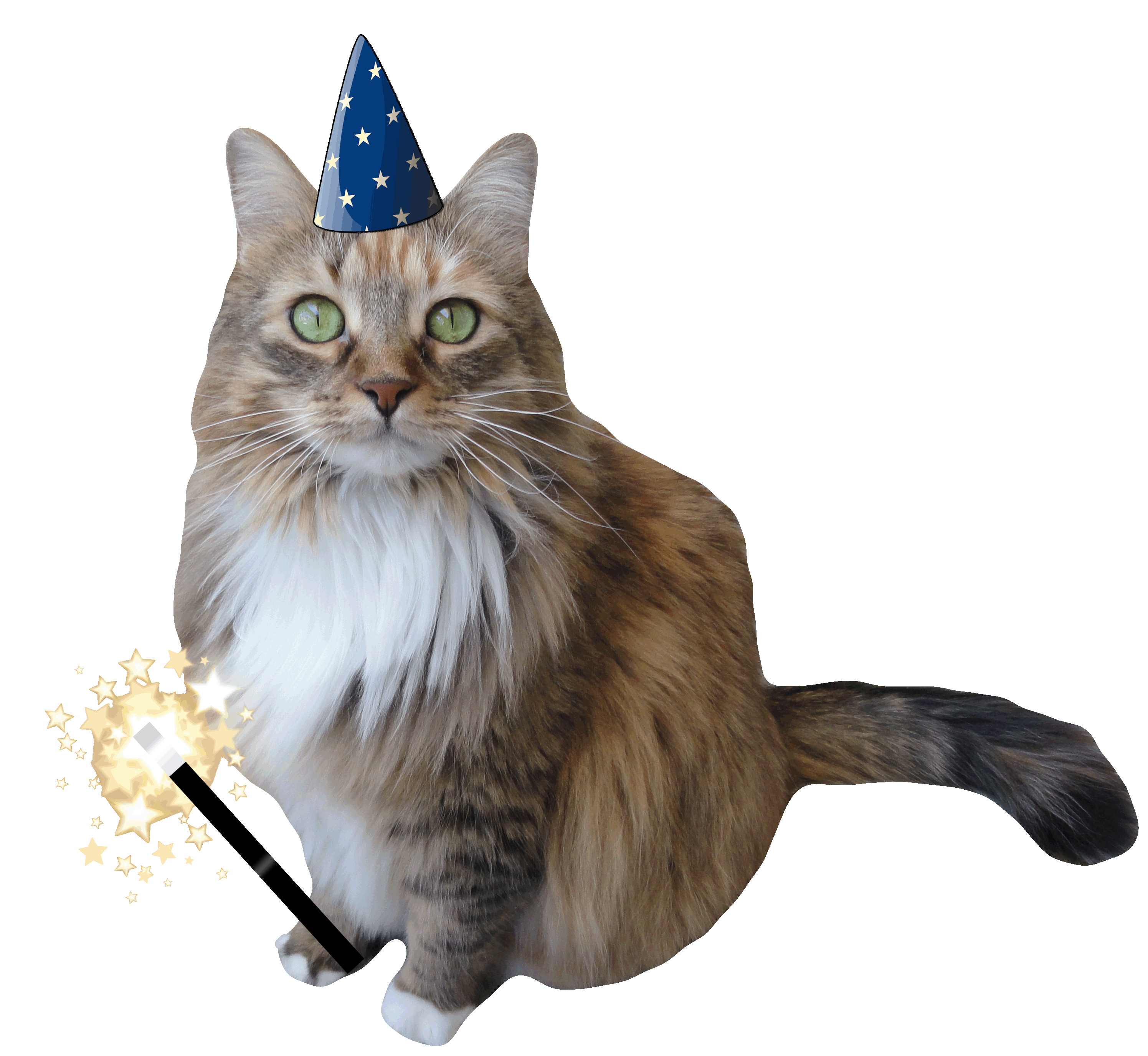 A cat with a magic hat and magic wand